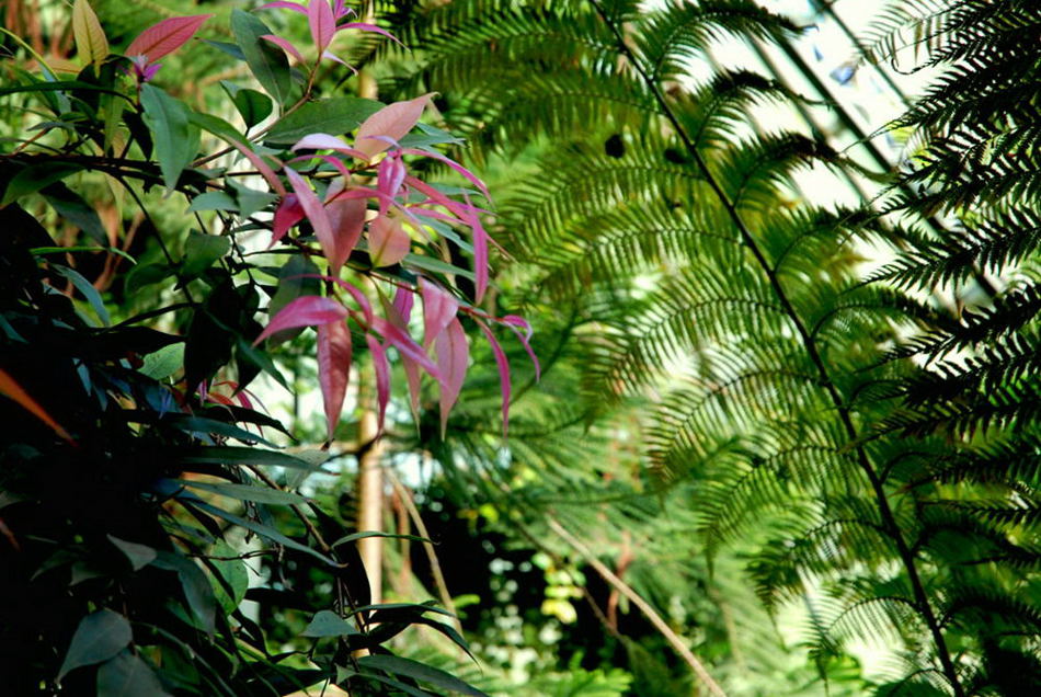 Foto de Madrid (Comunidad de Madrid), España