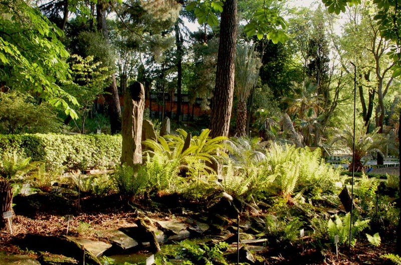 Foto de Madrid (Comunidad de Madrid), España