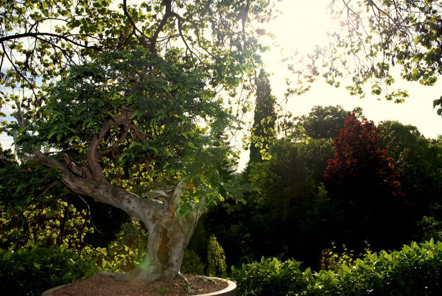 Foto de Madrid (Comunidad de Madrid), España