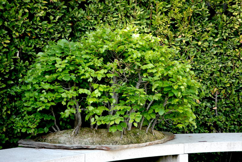 Foto de Madrid (Comunidad de Madrid), España