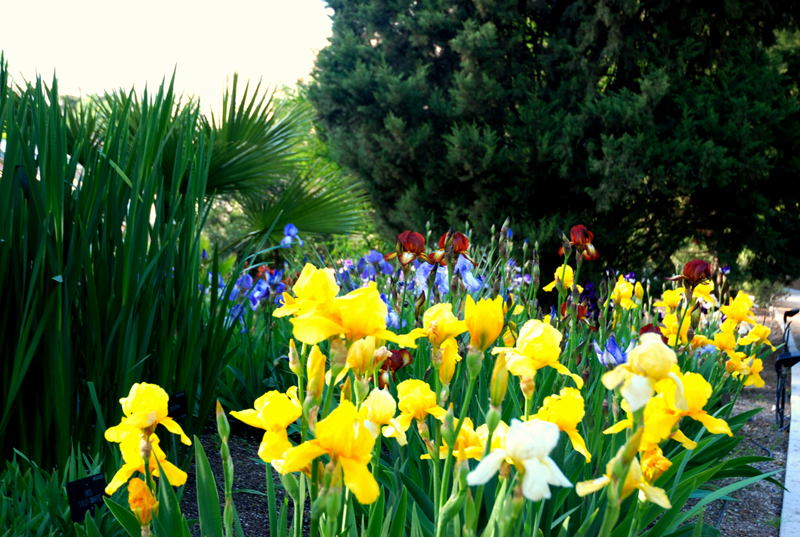Foto de Madrid (Comunidad de Madrid), España