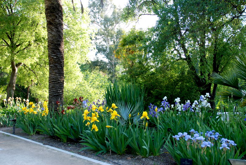 Foto de Madrid (Comunidad de Madrid), España