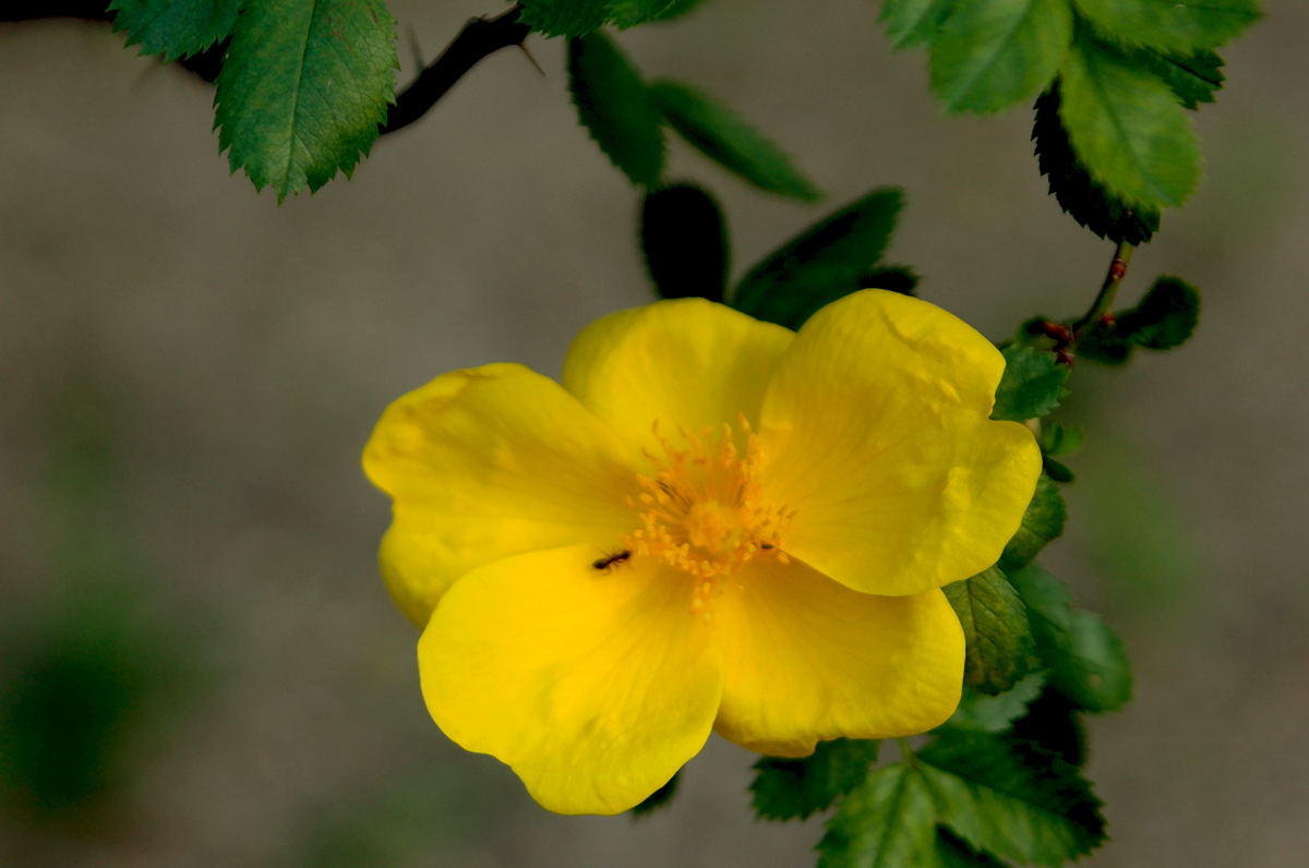Foto de Madrid (Comunidad de Madrid), España
