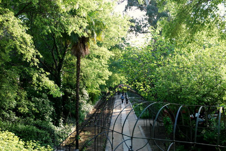 Foto de Madrid (Comunidad de Madrid), España