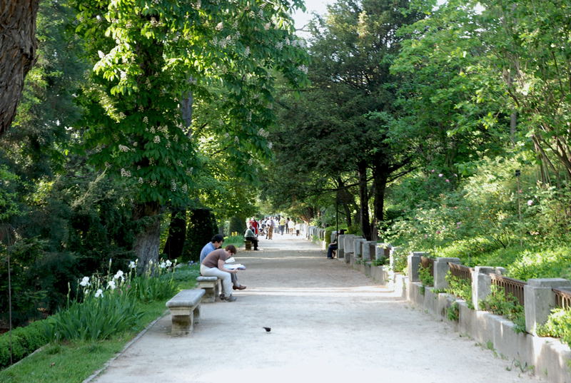 Foto de Madrid (Comunidad de Madrid), España