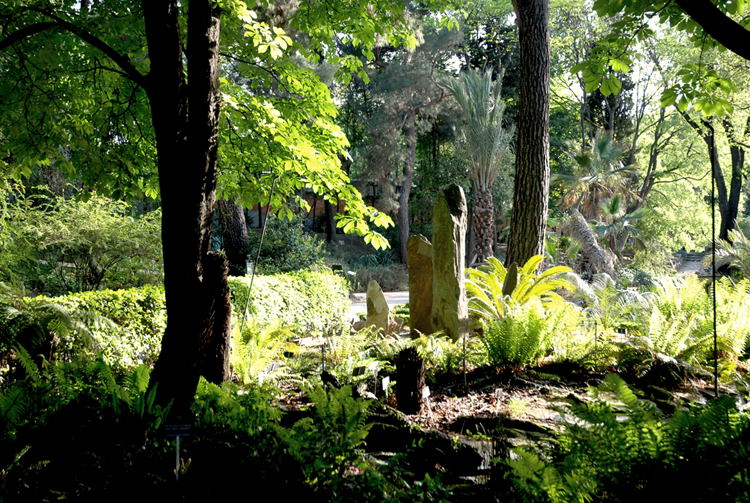 Foto de Madrid (Comunidad de Madrid), España