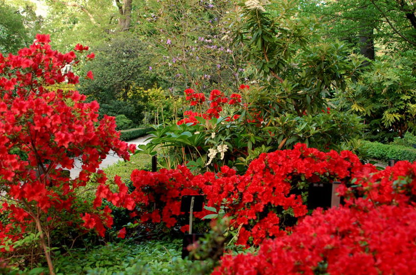 Foto de Madrid (Comunidad de Madrid), España