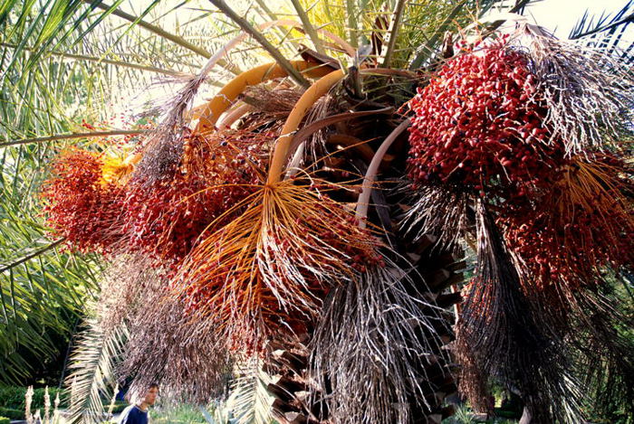 Foto de Madrid (Comunidad de Madrid), España