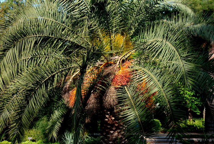 Foto de Madrid (Comunidad de Madrid), España