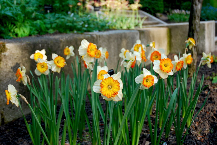 Foto de Madrid (Comunidad de Madrid), España