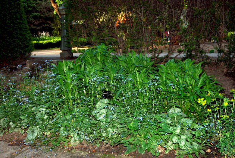 Foto de Madrid (Comunidad de Madrid), España