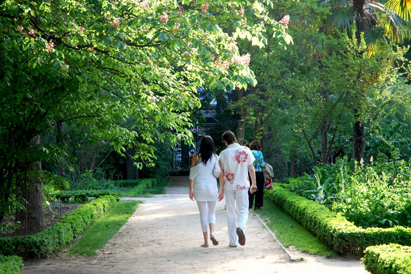 Foto de Madrid (Comunidad de Madrid), España