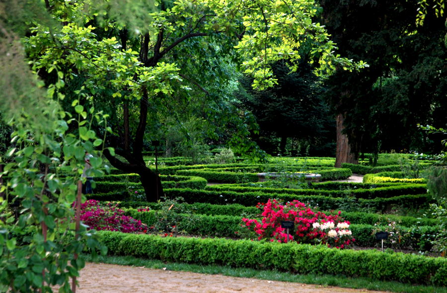 Foto de Madrid (Comunidad de Madrid), España