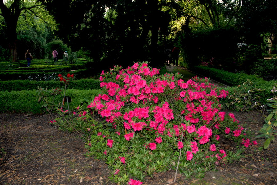 Foto de Madrid (Comunidad de Madrid), España
