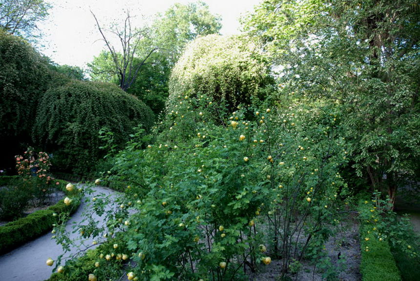Foto de Madrid (Comunidad de Madrid), España