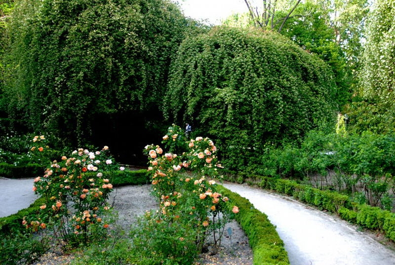 Foto de Madrid (Comunidad de Madrid), España