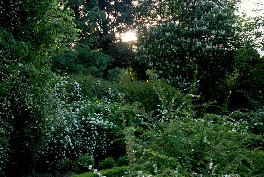 Foto de Madrid (Comunidad de Madrid), España