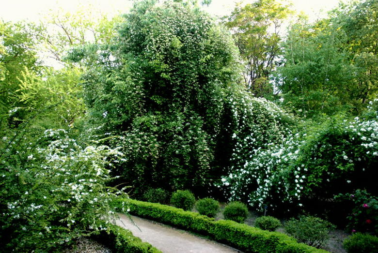 Foto de Madrid (Comunidad de Madrid), España