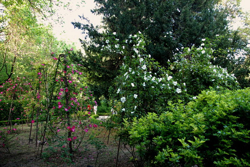 Foto de Madrid (Comunidad de Madrid), España