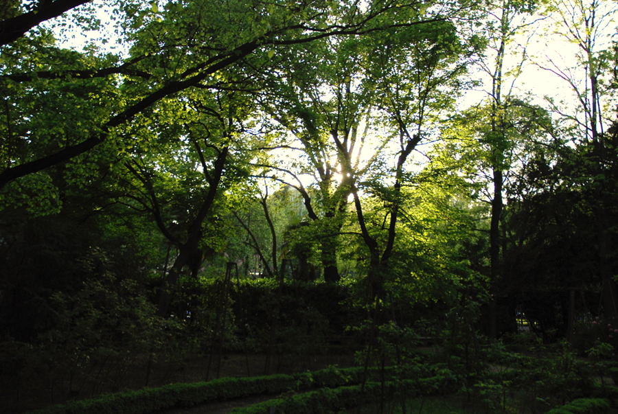 Foto de Madrid (Comunidad de Madrid), España
