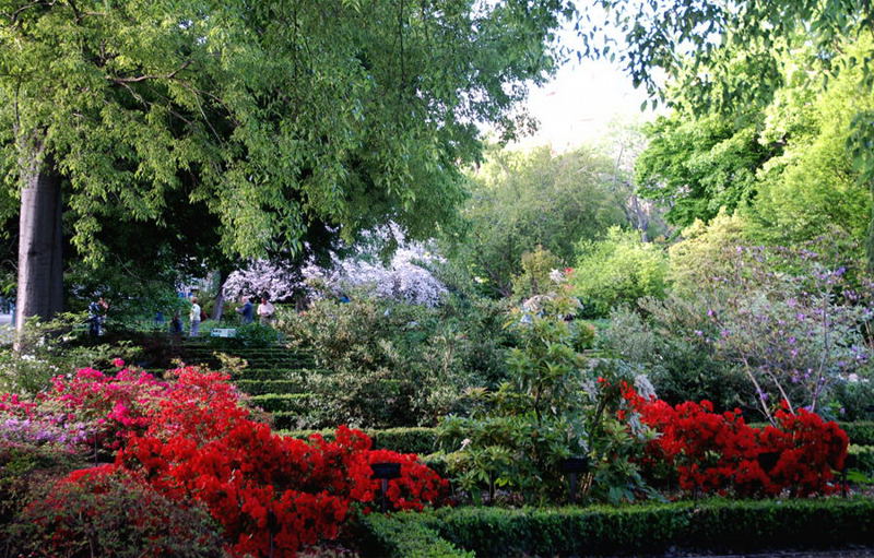 Foto de Madrid (Comunidad de Madrid), España