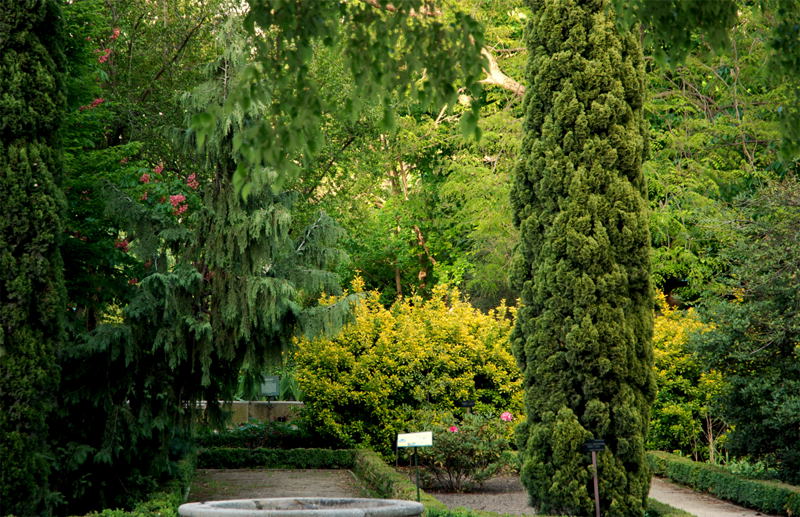 Foto de Madrid (Comunidad de Madrid), España