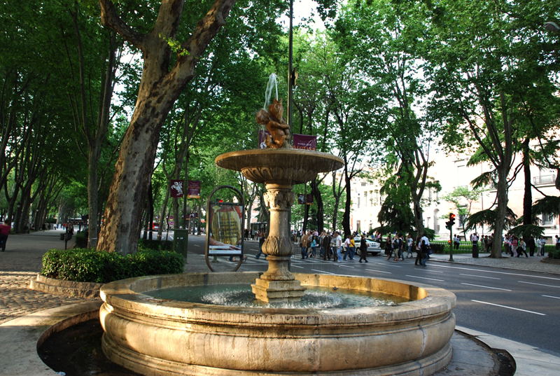 Foto de Madrid (Comunidad de Madrid), España