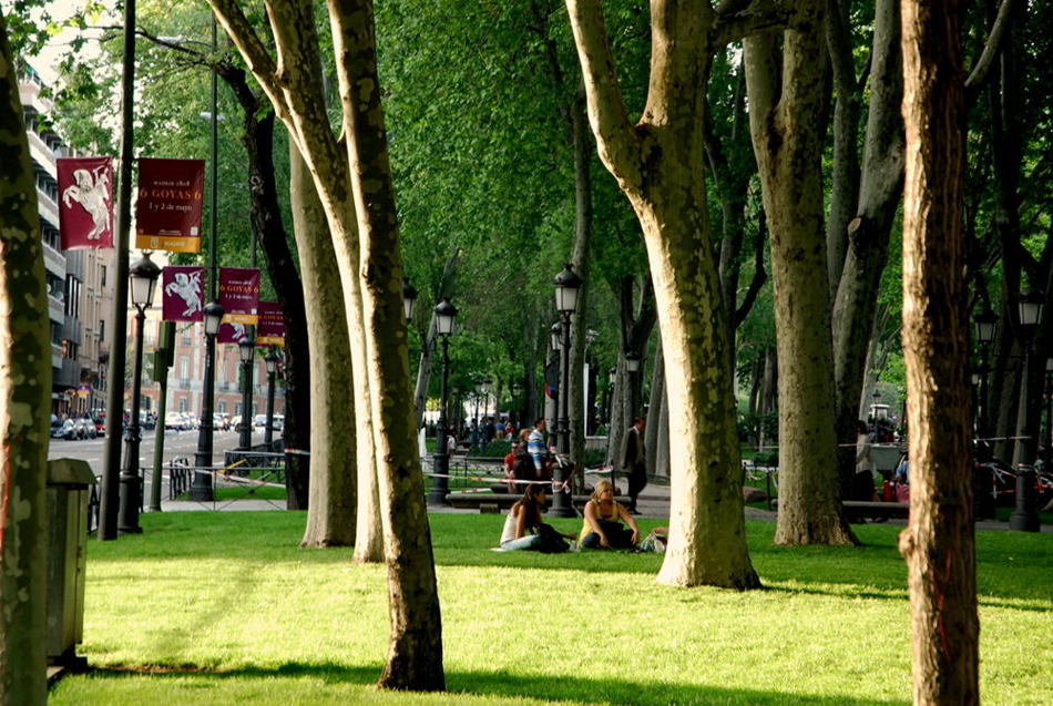 Foto de Madrid (Comunidad de Madrid), España