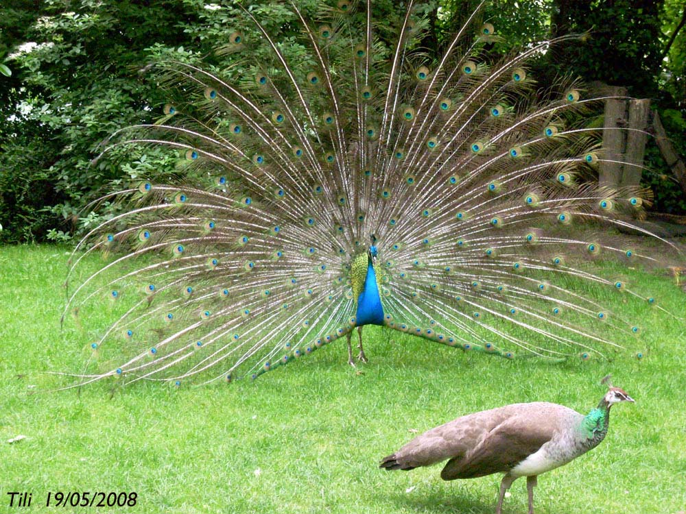 Foto de Oviedo (Asturias), España