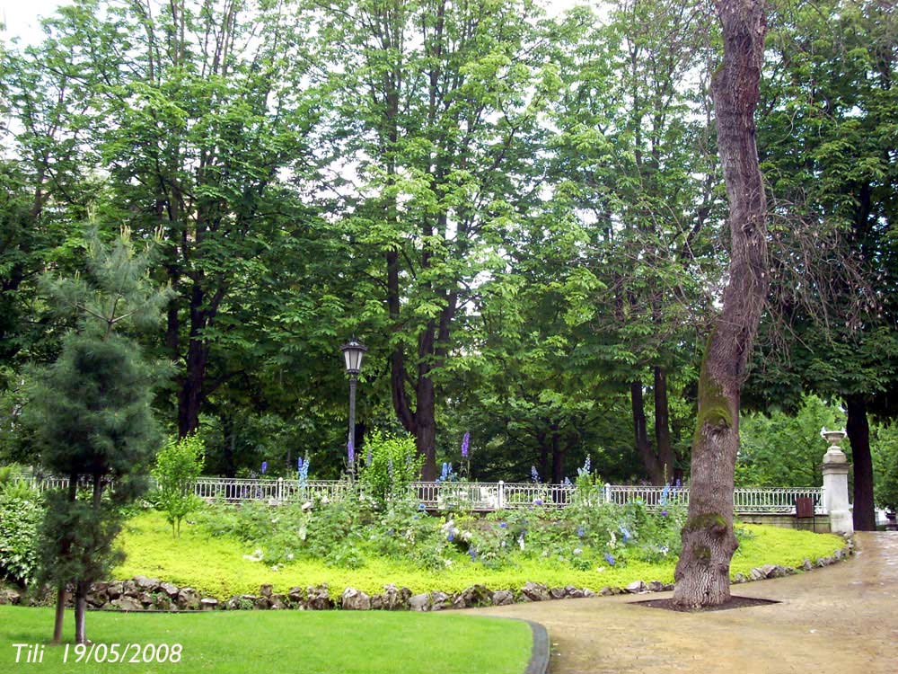 Foto de Oviedo (Asturias), España