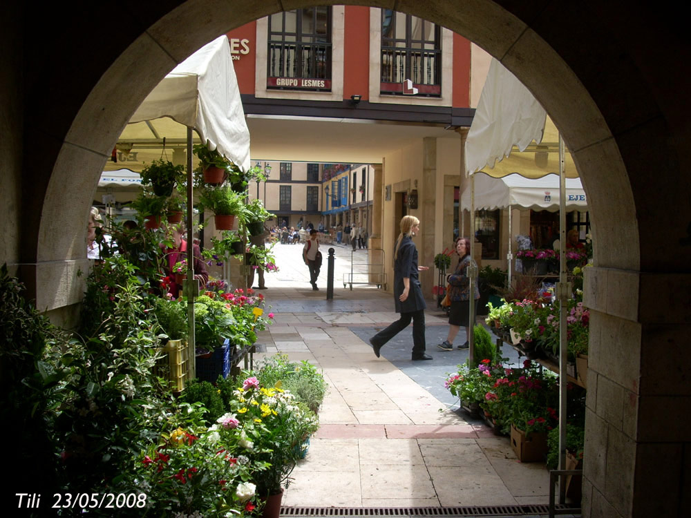 Foto de Oviedo (Asturias), España