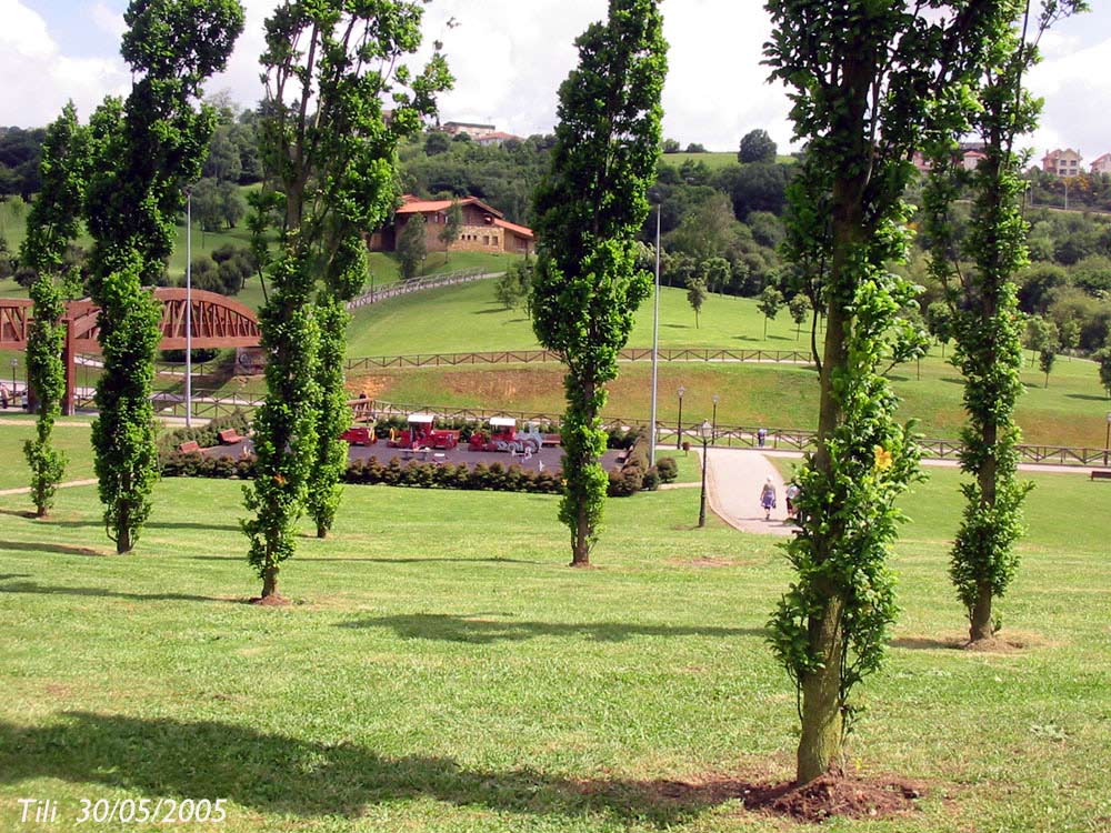 Foto de Oviedo (Asturias), España