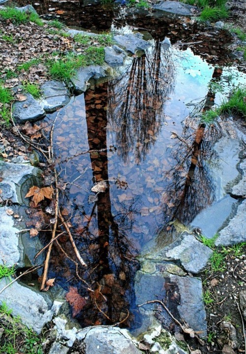 Foto de Señorio de Bertiz (Navarra), España