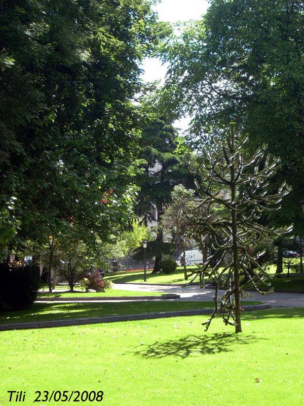 Foto de Oviedo (Asturias), España