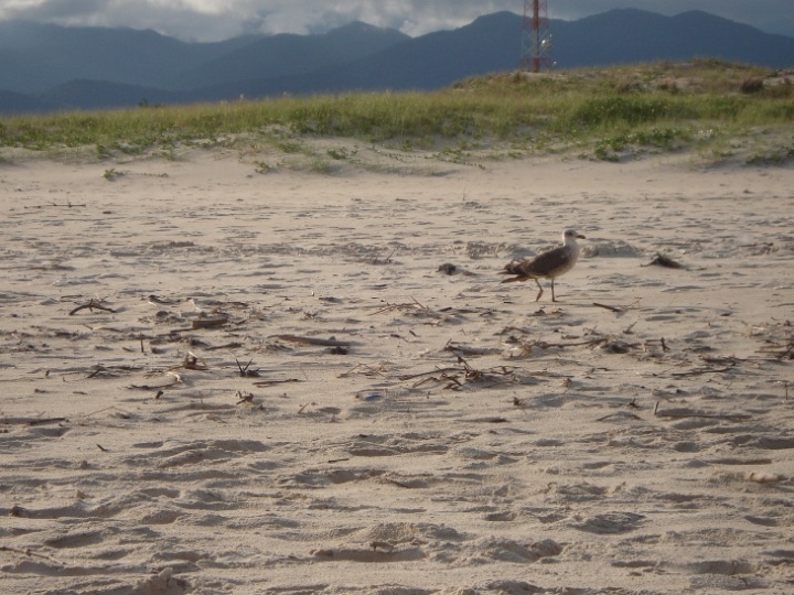 Foto de Guarda do Embaú, Brasil