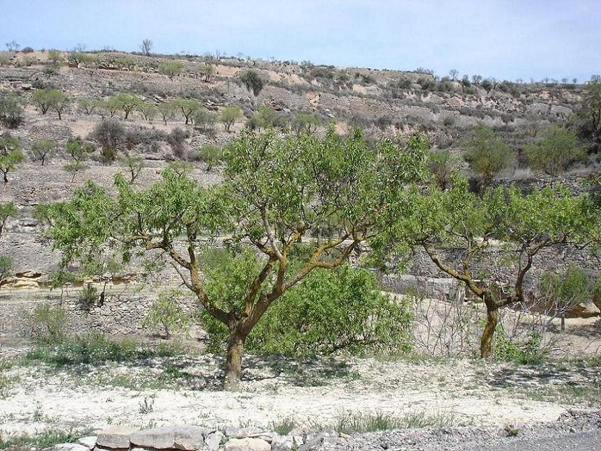 Foto de Guimerá (Lleida), España