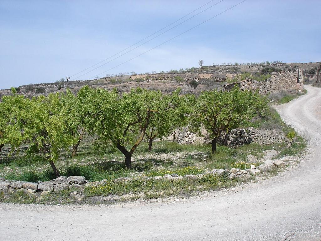 Foto de Guimerá (Lleida), España