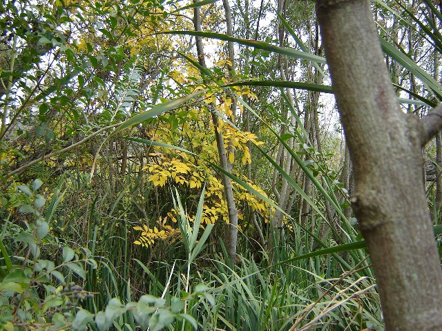 Foto de Acasusso, Buenos Aires, Argentina