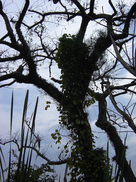 Foto de Acasusso, Buenos Aires, Argentina