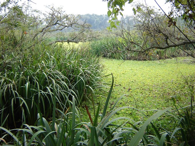 Foto de Acasusso, Buenos Aires, Argentina