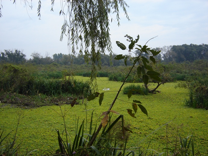 Foto de Acasusso, Buenos Aires, Argentina