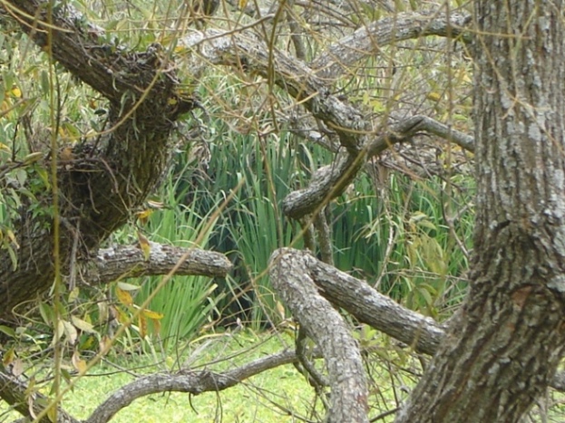 Foto de Acasusso, Buenos Aires, Argentina