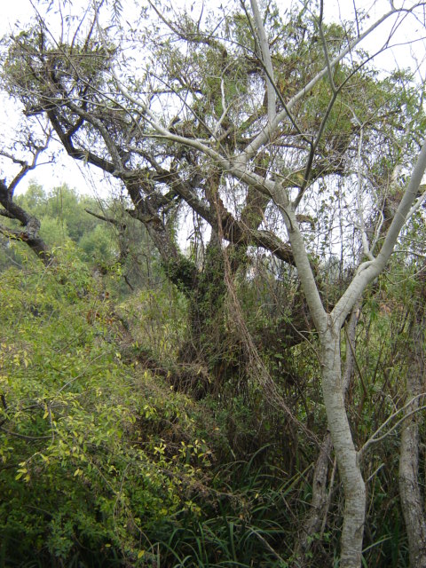 Foto de Acasusso, Buenos Aires, Argentina