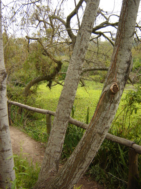 Foto de Acasusso, Buenos Aires, Argentina