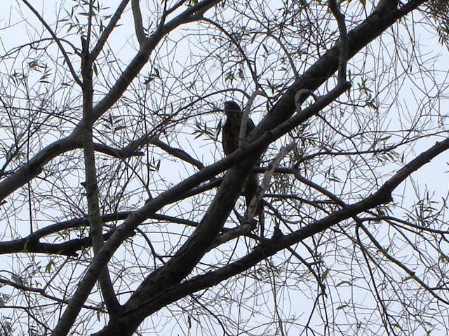 Foto de Acasusso, Buenos Aires, Argentina