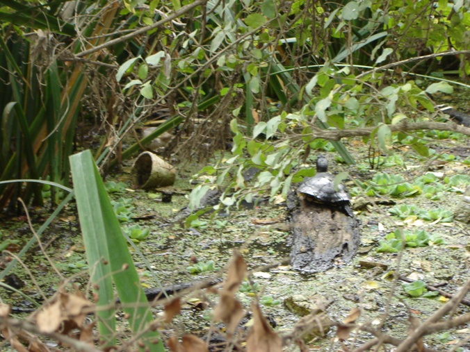 Foto de Acasusso, Buenos Aires, Argentina