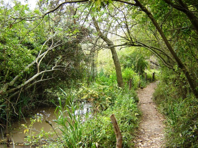 Foto de Acasusso, Buenos Aires, Argentina