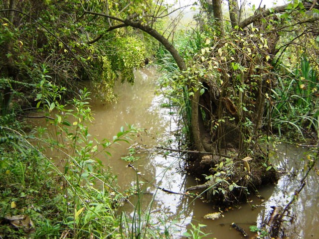 Foto de Acasusso, Buenos Aires, Argentina