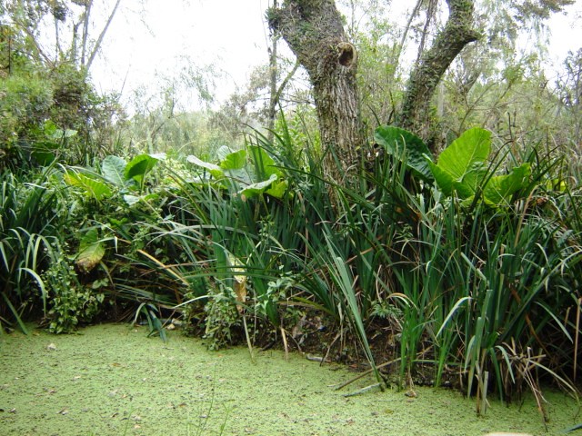 Foto de Acasusso, Buenos Aires, Argentina