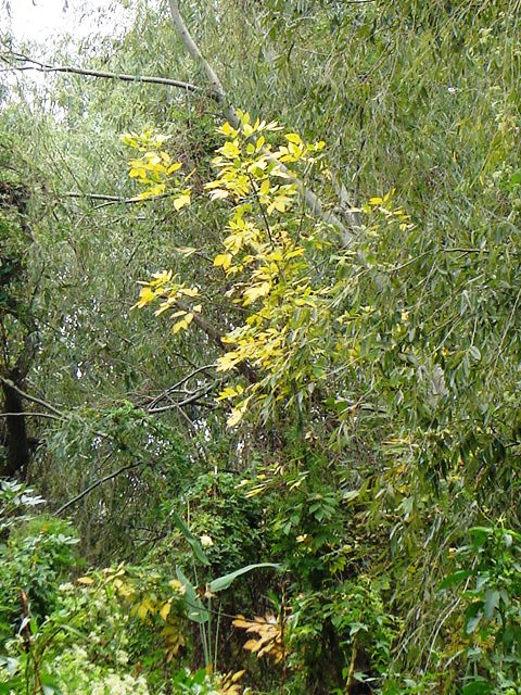 Foto de Acasusso, Buenos Aires, Argentina